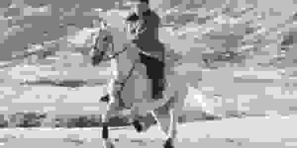 A rider on a white horse cantering along a beach — artwork of the Sociology of Business newsletter.